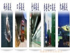 深圳偉盛通 專業辦理塑膠制品進出口退稅與報關的一站式服務專家